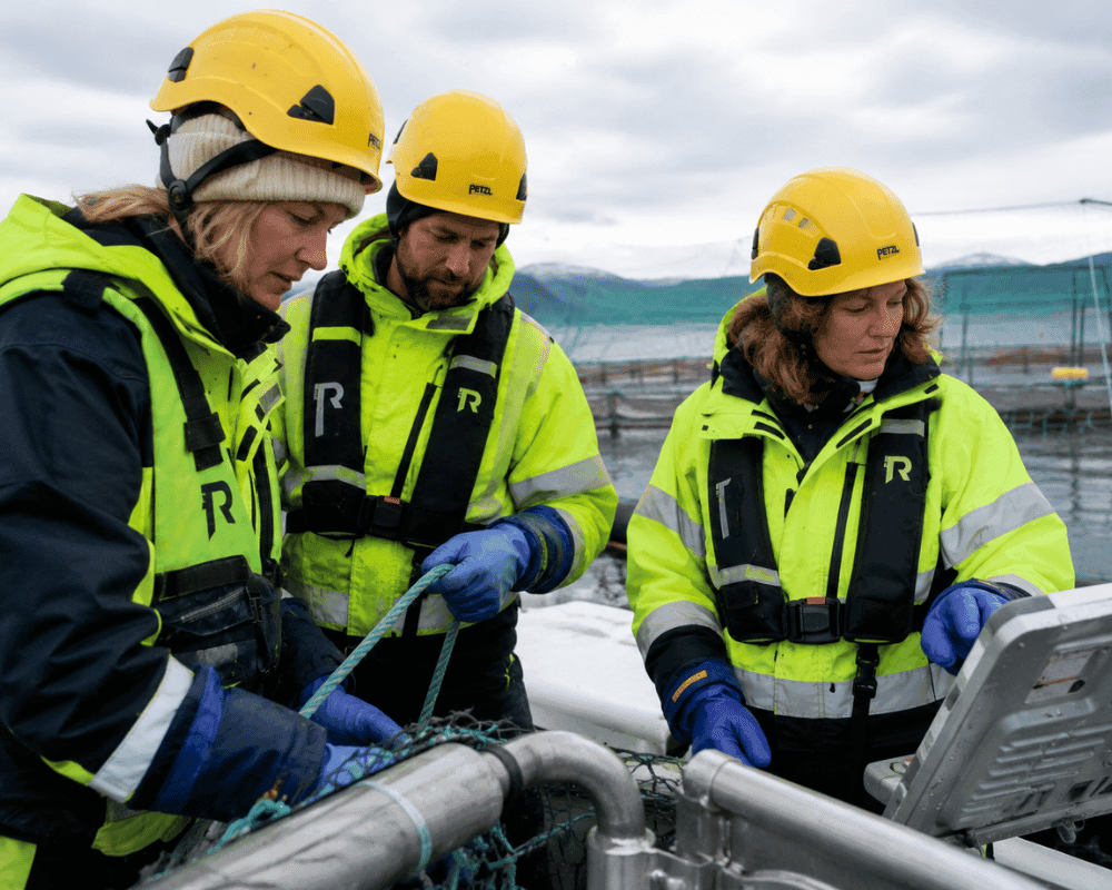 Arbeid i havbruk, brukt som illustrasjon for økt kvinneandel blant havbruksarbeidere.